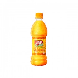 SUCO DEL VALLE CITRUS 450 ML