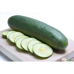 PEPINO