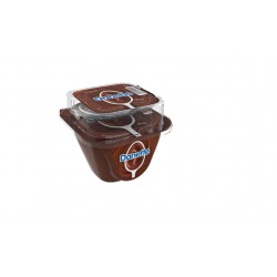 IOGURT DANETE CHOCOLATE  100 GR